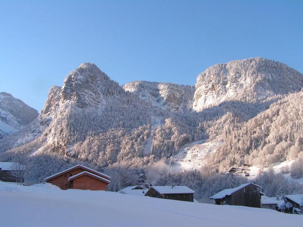 Chalet Narcisse Sixt Quarto foto