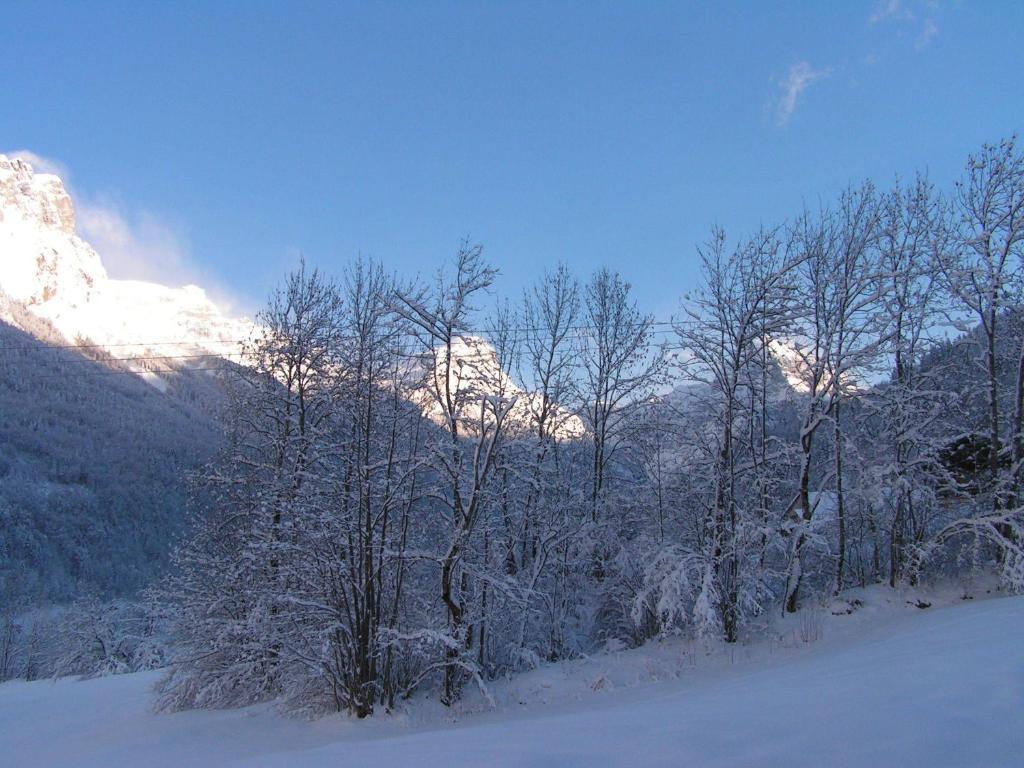 Chalet Narcisse Sixt Quarto foto